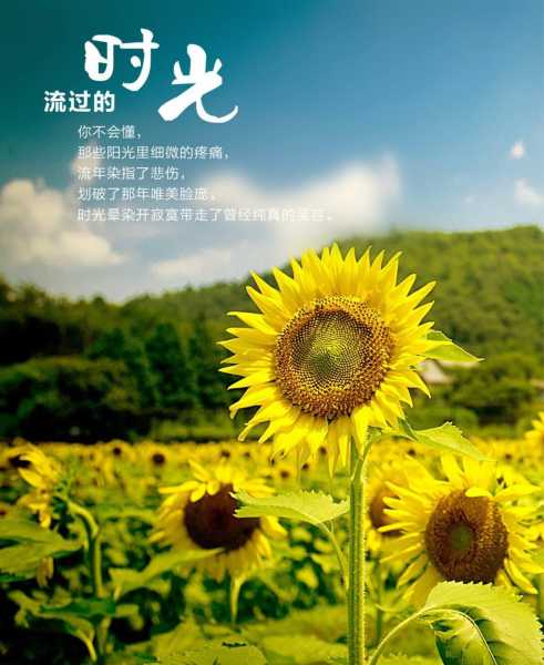 元月好时光，正月里的美好与期待,象征,吉时,祈福,第1张