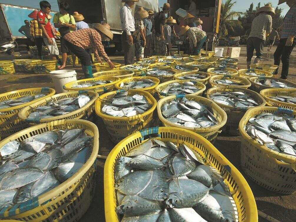 南海普萨求签,占卜智慧与现代文明的碰撞,象征,命运,挑战,第1张 南海普萨求签,占卜智慧与现代文明的碰撞,象征,命运,挑战,第1张