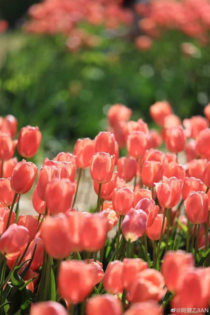 2017年9月13日，一个充满希望的吉时,象征,命运,事业,第1张