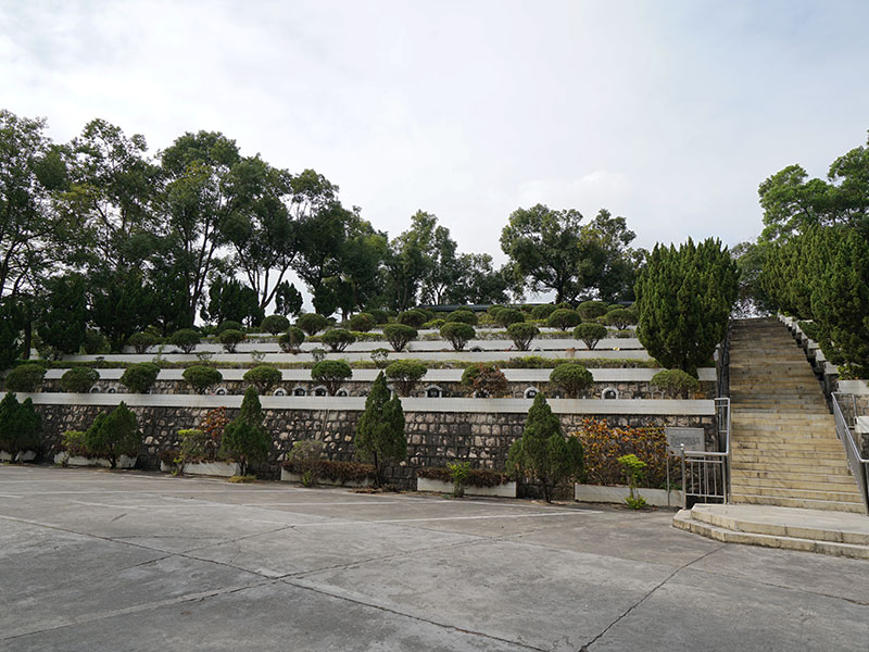 墓园种什么草好?选择与相配的植物,象征,希望,风水,第1张 墓园种什么草好?选择与相配的植物,象征,希望,风水,第1张