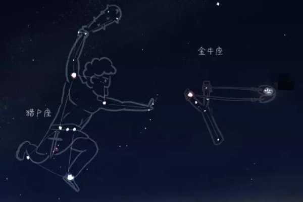 冬季的夜空，腊月的十二星座,十二星座,星座,第1张