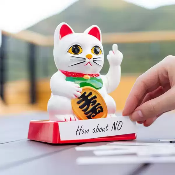 运势养猫吉凶图片，猫与命运的神秘联,命运,吉凶,宠物,第1张