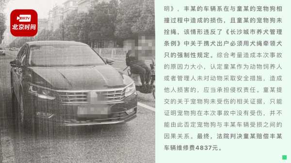 意外撞狗，赔偿协议该如何走？,求签,希望,法律,第1张