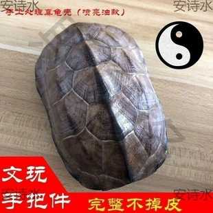 拿龟壳算命的由来与文化意义,象征,命运,算命,第1张