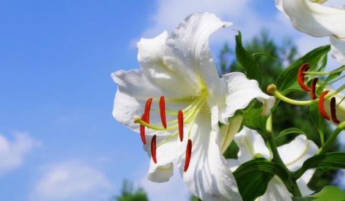 十二星座的烂桃花真相,原来感情里藏着这么多秘密!,十二星座,星座,第1张 十二星座的烂桃花真相,原来感情里藏着这么多秘密!,十二星座,星座,第1张