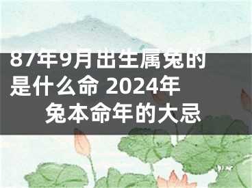 87年生肖兔运势解析，事业与感情的双丰收,事业,挑战,希望,第1张