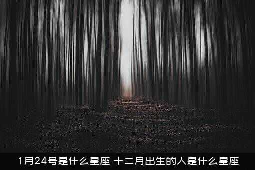 十二月十二号是什么星座？94年星座运势解析,命运,事业,挑战,第1张