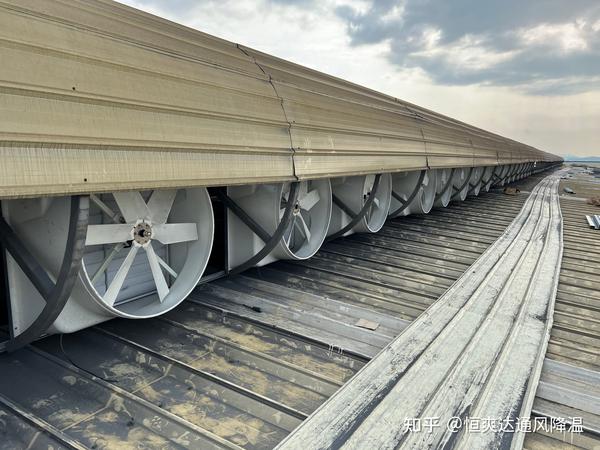 盖铁皮房要注意哪些,气场,财运,风水,第1张