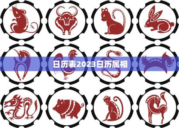 2023年12月3日生肖运势解析，事业与健康的关键时刻,事业,挑战,合作,第1张