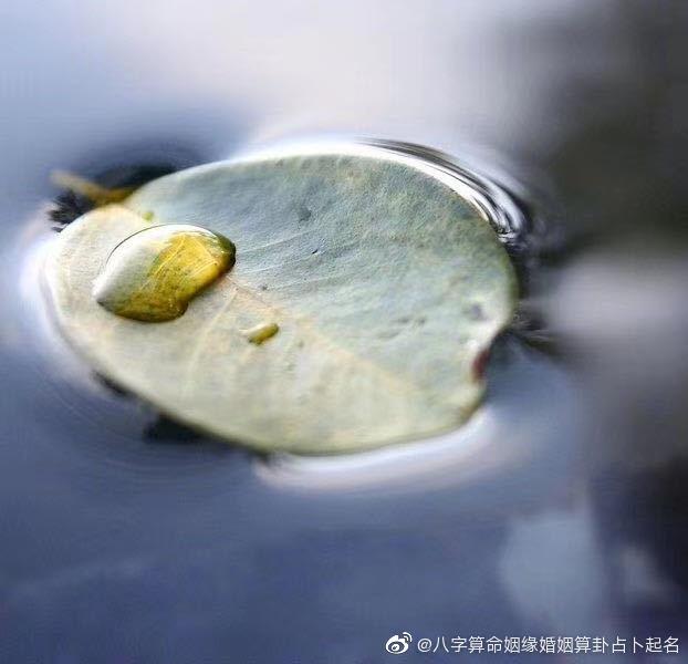 紫色有什么说法,象征,事业,气场,第1张