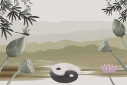 十二星座用石头，展现独特魅力,象征,十二星座,自我,第1张