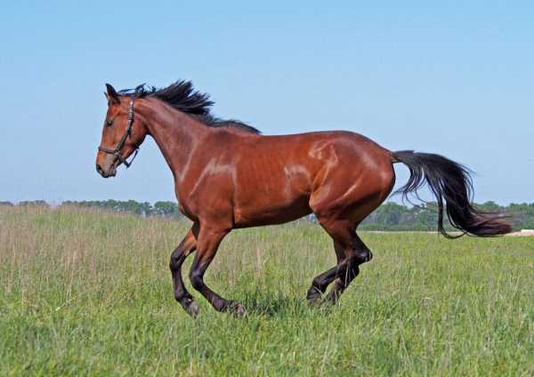 马小玲算命港剧叫什么,命运,算命,占卜,第1张