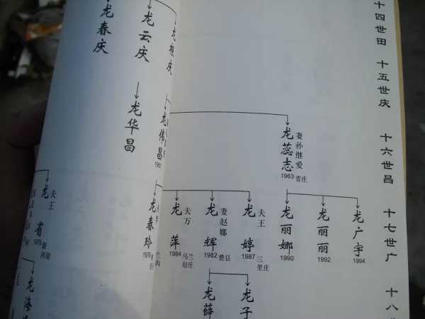 姓华的龙宝宝，传统与现代的取名之道,象征,命运,宝宝取名,第1张