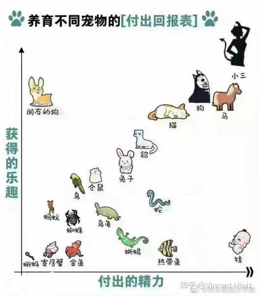 十二星座长大该养什么宠物？,十二星座,星座,时光,第1张