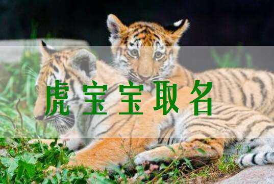 虎年宝宝带石取名,传统与现代的结合,象征,命运,八字,第1张 虎年宝宝带石取名,传统与现代的结合,象征,命运,八字,第1张