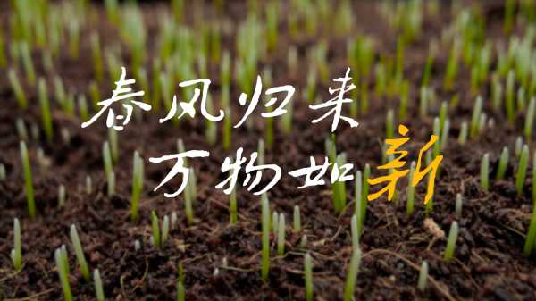 寒尽春来 万物更新,象征,命运,挑战,第1张