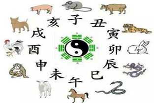 五行属水，生肖牛运势与健康养生之道,象征,事业,挑战,第1张