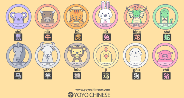 生肖猴哪年运势最好？的幸福年份解析,象征,命运,事业,第1张
