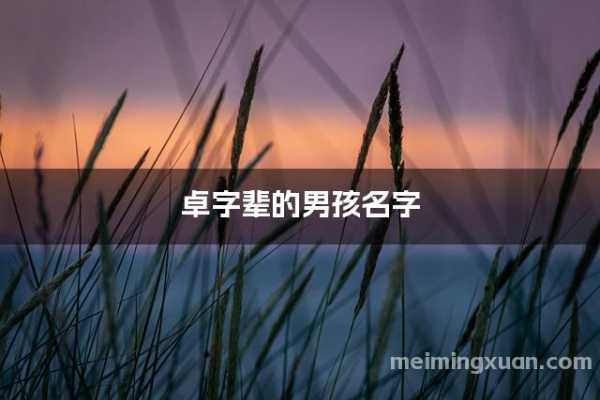 火兔宝宝取名指南，好听又寓意深远的名字推荐,象征,宝宝取名,能量,第1张