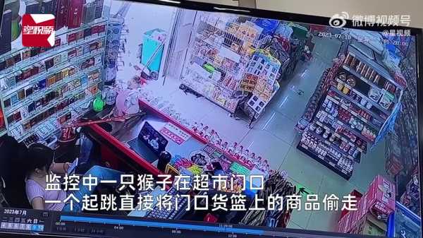 猴子偷牛，解读人性的贪婪与满足,象征,自我,引导,第1张