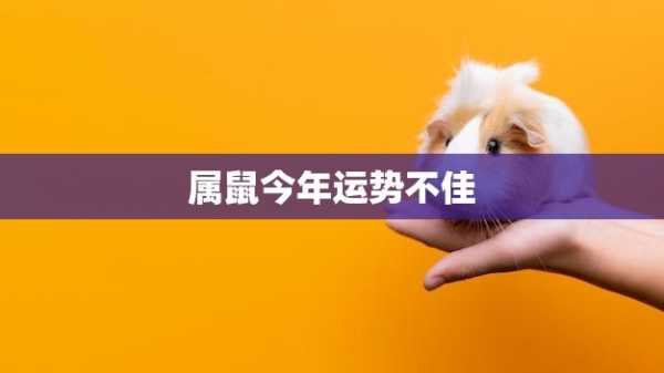 今年哪些生肖运势不佳？,挑战,希望,自我,第1张