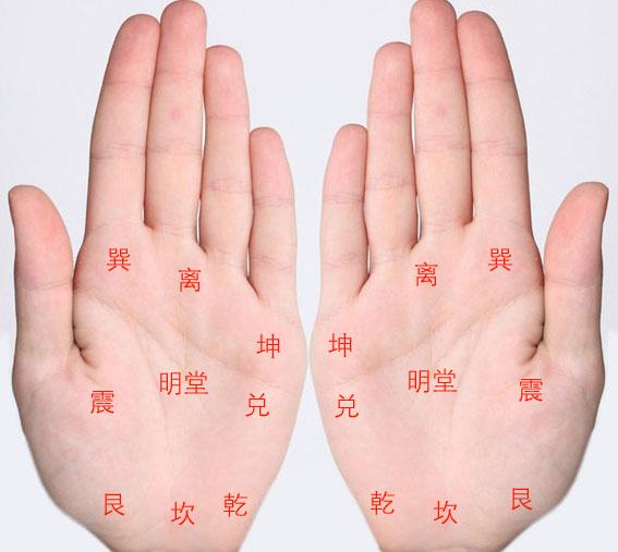 手掌横纹吉凶,科学揭示手掌纹路的神秘力量,吉凶,占卜,神秘力量,第1张 手掌横纹吉凶,科学揭示手掌纹路的神秘力量,吉凶,占卜,神秘力量,第1张