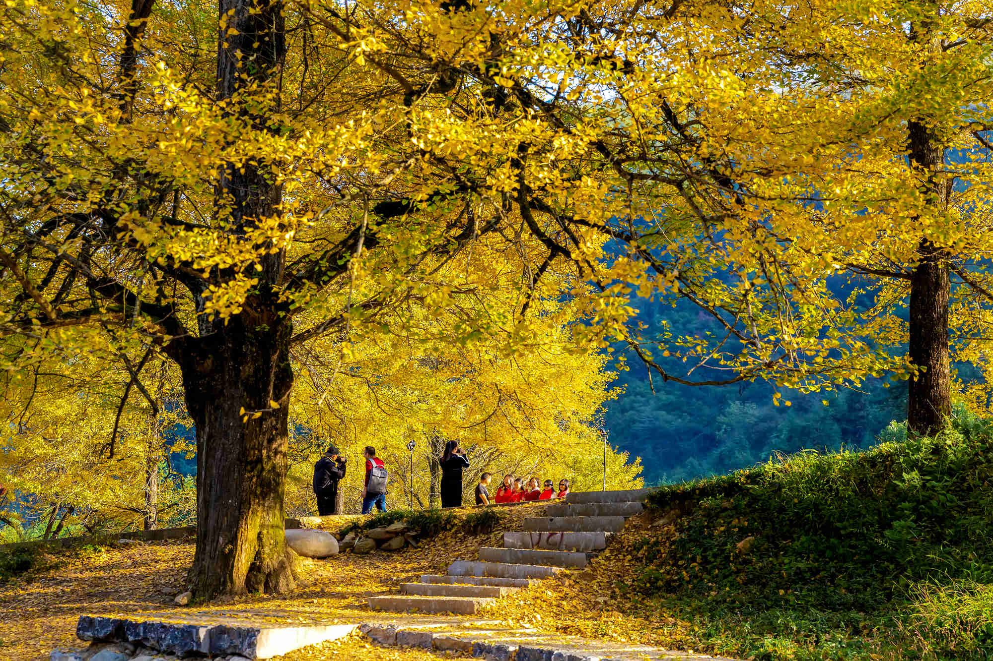金秋第3课，择吉时法，把握成长机遇,命运,挑战,吉时,第1张