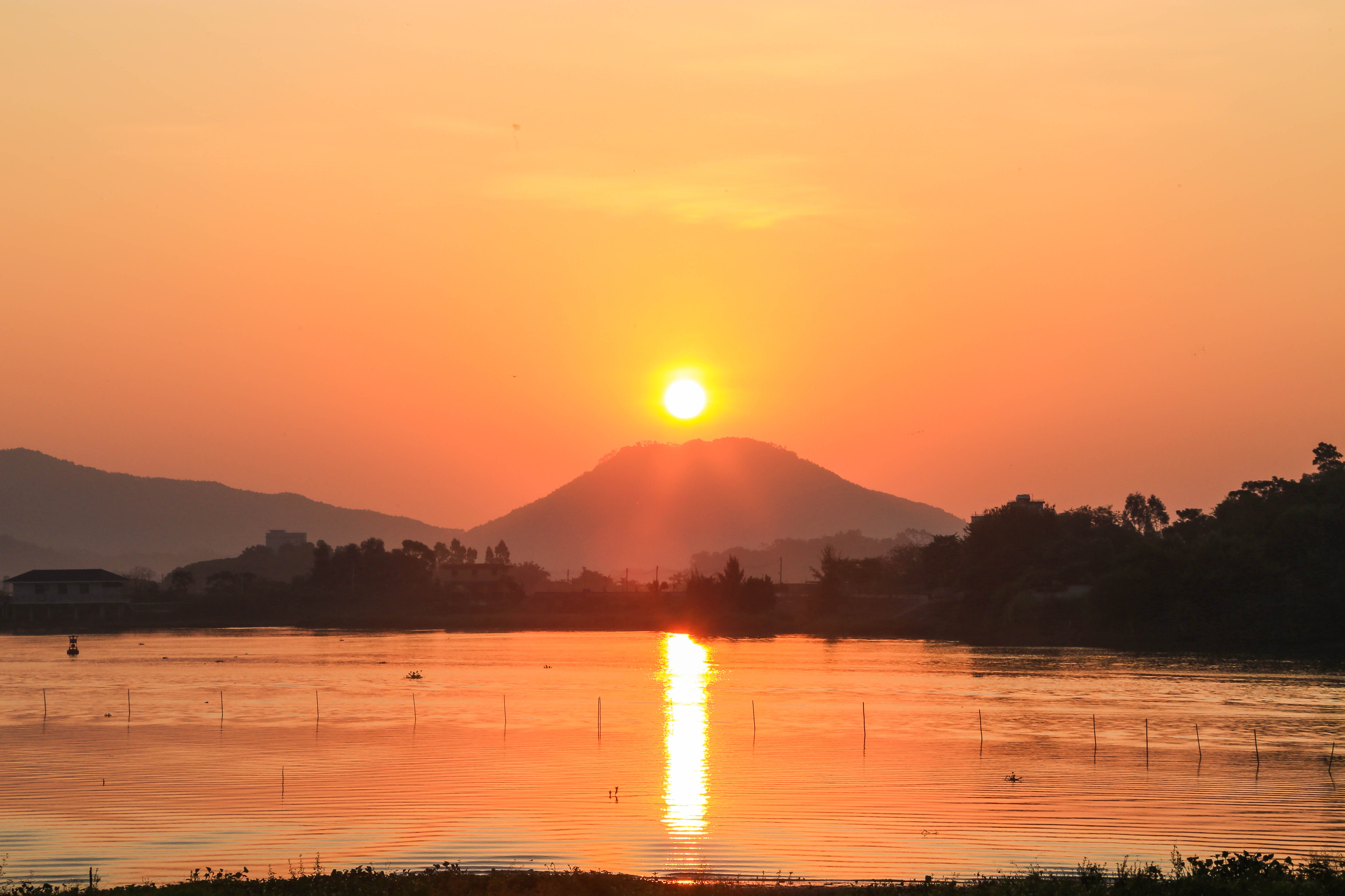 旭日，蛇宝宝取名之道,象征,挑战,希望,第1张