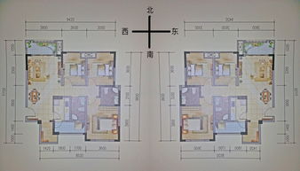 八字五行缺什么?解析命理中的关键要素,命运,八字,能量,第1张 八字五行缺什么?解析命理中的关键要素,命运,八字,能量,第1张