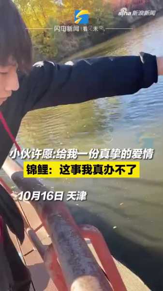 开年锦鲤解签忘了怎么办？这些方法让你轻松找回新年气！,象征,希望,自我,第1张