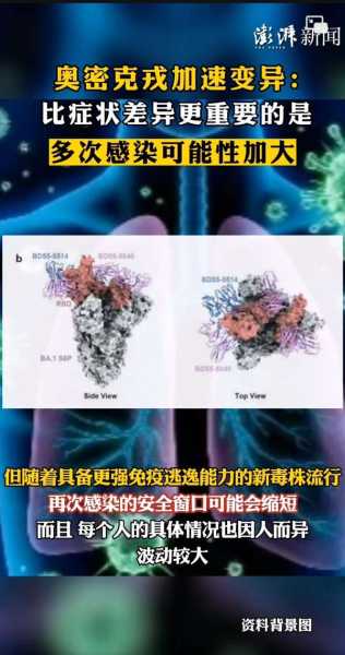 好，用户让我写一篇关于改名的叫什么的文章，先写标题，再写内容，内容不少于980字。首先，我需要理解用户的需求。他们可能对改名感兴趣，或者想了解师在改名中的作用,象征,事业,八字,第1张