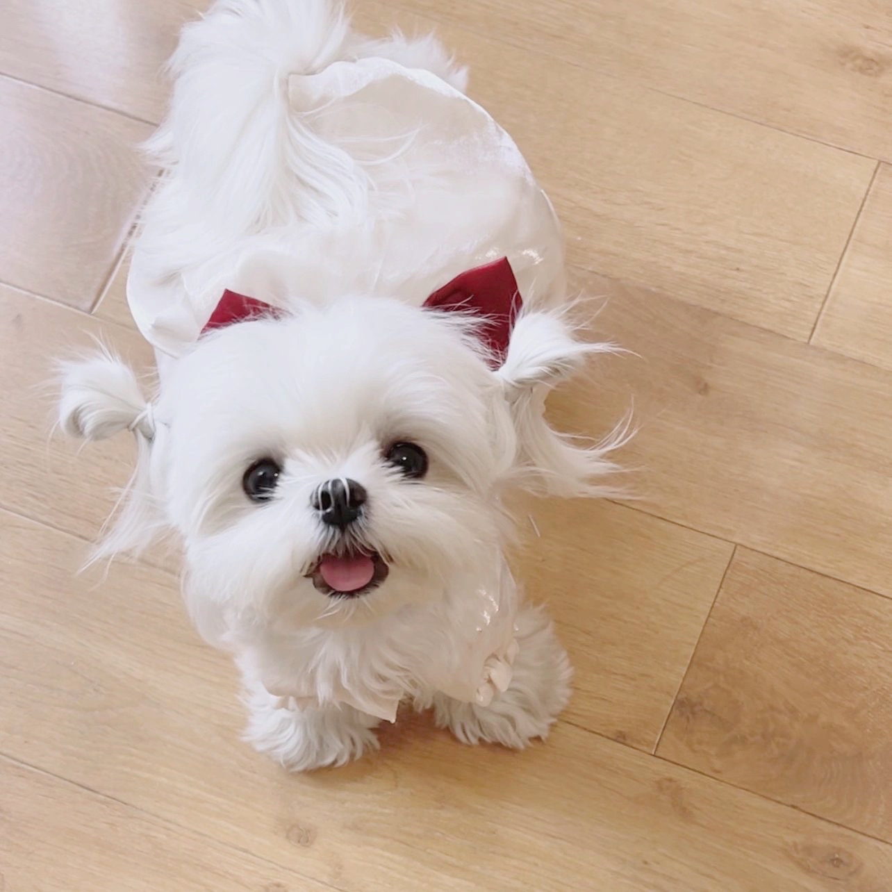 马星算命，女生也能看懂的神秘力量,象征,命运,挑战,第1张