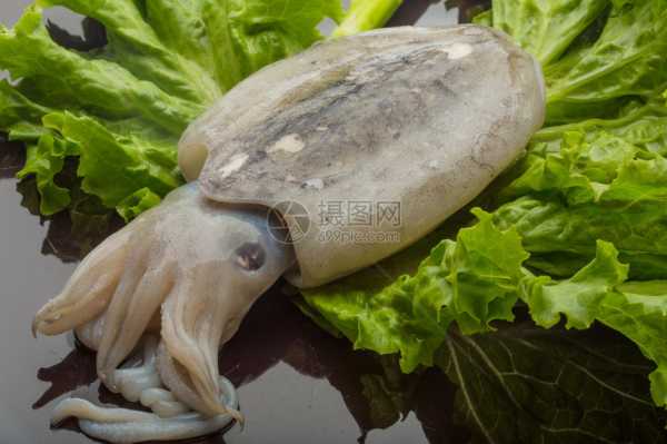 墨鱼之梦，解读梦境中的带鱼预兆,象征,挑战,希望,第1张