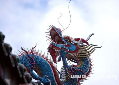 变色龙，周公解的神秘象征,象征,事业,自我,第1张