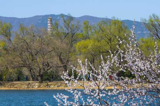 玉泉寺结婚求签费用全解析，流程与注意事项,希望,求签,寺庙,第1张