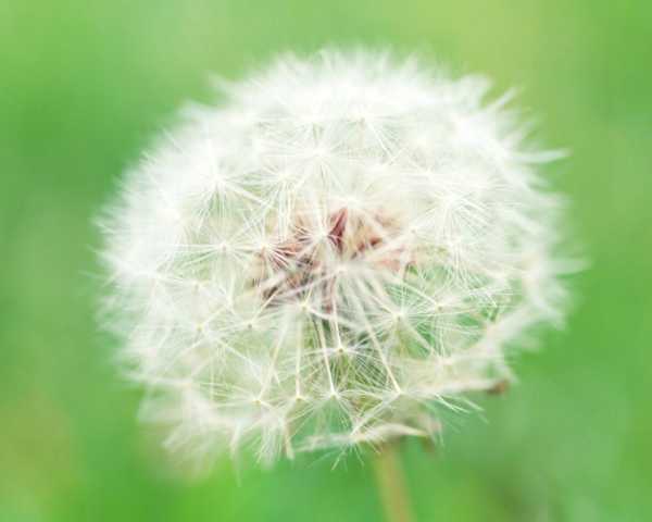 ，我得详细分析每个生肖，说明他们在7月的运势如何，数字如何影响他们的生活、事业、感情等方面。比如，蛇在7月可能数字3带来，提升沟通能力；龙可能数字6带来事业上的合作机会,象征,命运,事业,第1张