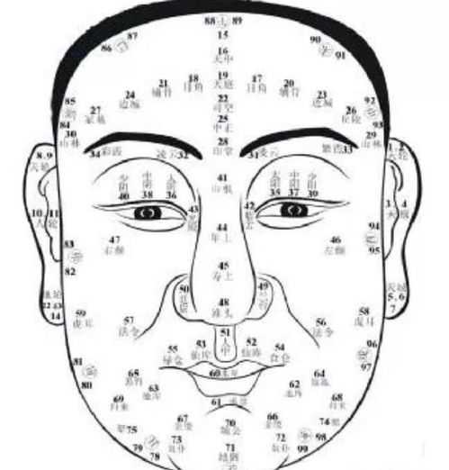 八字相貌测算方法揭秘，揭秘面相与命运的神秘联,命运,事业,八字,第1张