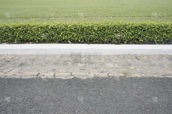 好，用户让我写一篇关于路边遇到莽蛇的预兆和解梦的文章，首先我需要确定文章的标题。标题要简洁明了，能够吸引读者，所以路边 encounter 难忘蛇预兆，解梦与象征意义听起来不错,象征,挑战,希望,第1张