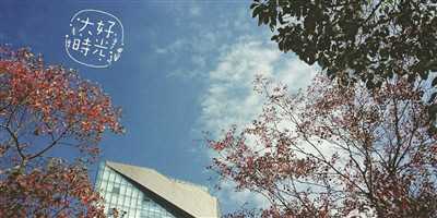 好,用户让我写一篇关于南山观音在哪里求签的文章,先写标题,再写内容,内容不少于991个字。首先,我需要明确南山观音是哪里的观音,可能是指南海观音,因为南海观音通常与南海有关,而南山可能是指南海的山,象征,事业,求签,第1张 好,用户让我写一篇关于南山观音在哪里求签的文章,先写标题,再写内容,内容不少于991个字。首先,我需要明确南山观音是哪里的观音,可能是指南海观音,因为南海观音通常与南海有关,而南山可能是指南海的山,象征,事业,求签,第1张