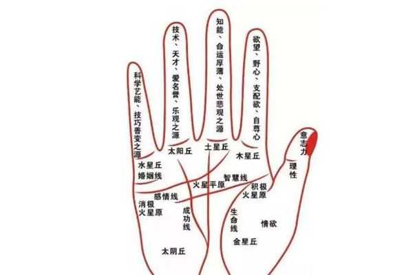 八字手相测算，解读命运与性格的神秘联,命运,八字,自我,第1张