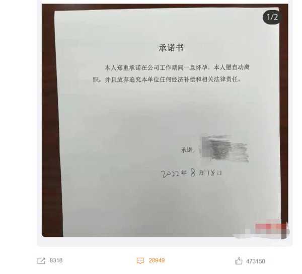离职承诺书的重要性，一份看似简单的协议，实则承载着深沉的承诺,事业,合作,法律,第1张