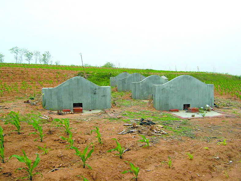 好，用户让我写一篇关于新坟好的有什么变化的文章，先写标题，再写内容，内容不少于899个字。首先，我需要明确用户的需求。他们可能是在考虑安葬事宜，或者对感兴趣，想了解新坟后的变化,气场,吉凶,风水布局,第1张