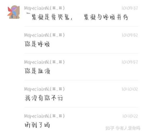 好，用户让我写一篇关于兄妹名字吉凶的文章。首先，我需要确定文章的标题，得吸引人又相关。，内容部分要不少于834个字，得涵盖名字的基本概念、吉凶评价标准，以及实际应用建议,象征,命运,希望,第1张