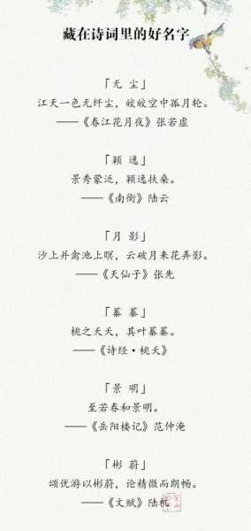 好，用户让我写一篇关于如何给狗年宝宝取名的文章，还给了一个示例标题和内容。首先，我需要理解用户的需求。他们可能是一位宠物，或者是在帮别人取名，希望找到一些灵感或者实用的建议,象征,希望,宝宝取名,第1张