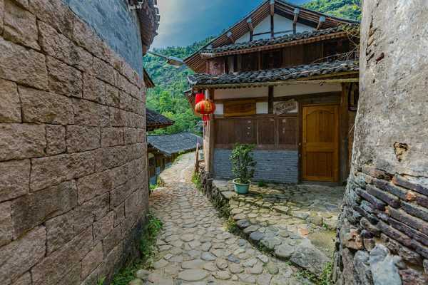 屋后种什么稼，讲究与选择建议,象征,能量,风水,第1张