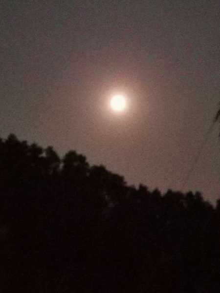 好，用户想要写一篇关于老爷庙求签多少钱一次的文章，标题已经给出，内容需要不少于891个字。首先，我需要理解用户的需求。他们可能对求签费用感兴趣，想了解老爷庙的收费情况，或者对求签的过程和意义有疑问,自我,求签,成功,第1张