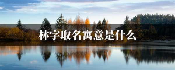 姓林名字吉凶，解析名字背后的含义与选择之道,象征,吉凶,美好,第1张