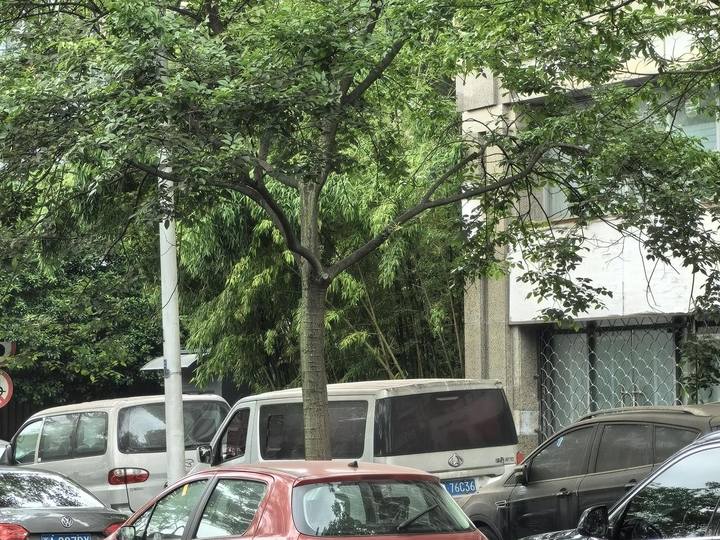 好，用户让我写一篇关于车子放屋顶是什么讲究的文章，先写标题，再写内容，内容不少于936个字。首先，我需要理解用户的需求。他们可能对感兴趣，或者在考虑车辆摆放，想了解是否有讲究,象征,事业,希望,第1张