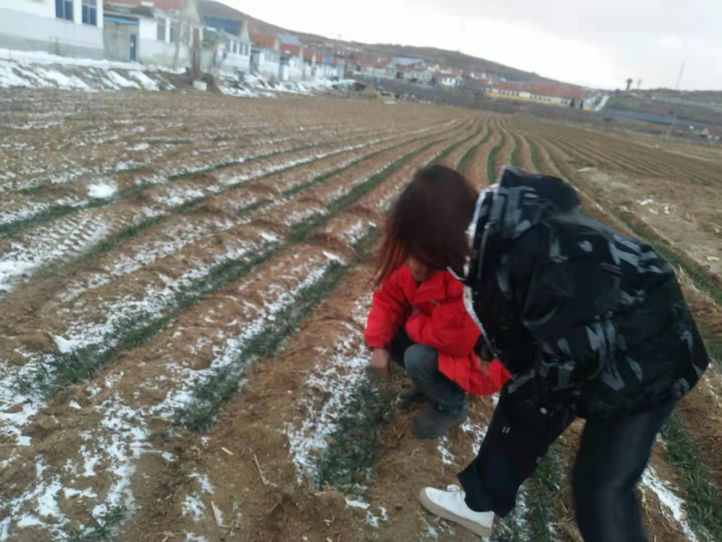 好，用户让我写一篇关于动土早上几点进门吉时的文章。首先，我需要理解动土是什么意思。动土通常是指在学中，确定一个地方适合开始建造或进行某种仪式的时刻。这涉及到时间的选择，尤其是早上几点出门,事业,希望,八字,第1张