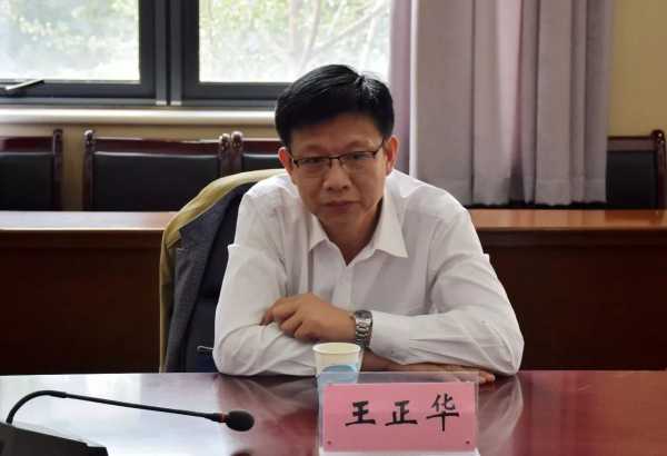 名字王正华吉凶查询，解析王正华名字的含义与意义,象征,命运,事业,第1张